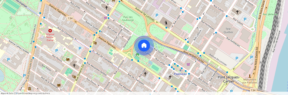 1707 rue Cartier, Ville-Marie, Ville-Marie, Ile de Montréal, H2K 4P4