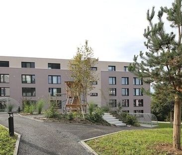 We are looking for you specifically - Photo 5