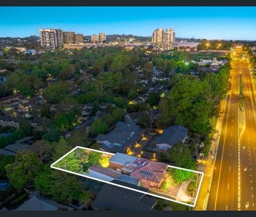 64 Showground Road, Castle Hill, NSW 2154 - Photo 6