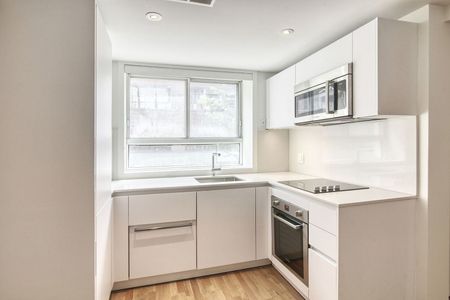 25 Avenue des Pins O, Montréal, QC - Photo 3