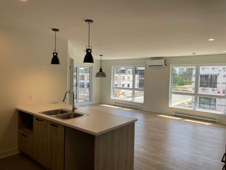 3720 Rue Médard Émard, Longueuil (Saint-Hubert), QC J3Y - Photo 3