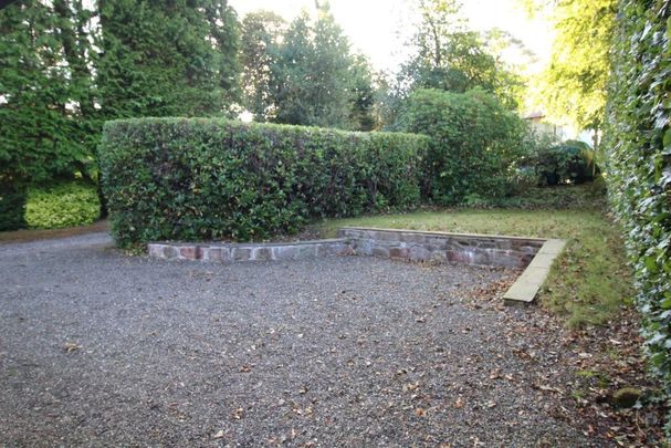 1 bedroom cottage to rent - Photo 1