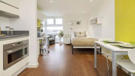 Deluxe Premium - Photo 3