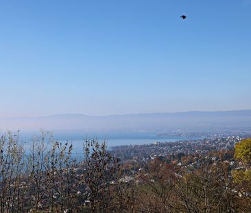 Magnifique appartement 4p / 2 ou 3 chambres / Vue imprenable lac et... - Photo 6