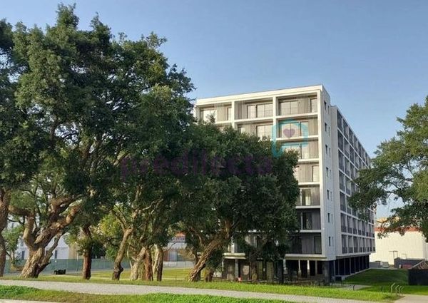 Apartamento T1 em Porto