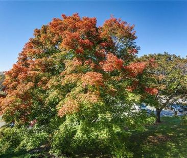 For Lease - 6376 Bilberry Drive Unit# 306, Orleans - Convent Glen a... - Photo 6