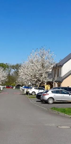 Maison à louer 3 pièces 71.5m² - Photo 2