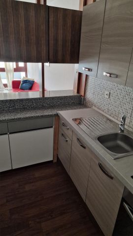AFFITTASI Appartamento arredato di 2.5 locali a Lugano-Cassarate - Foto 4