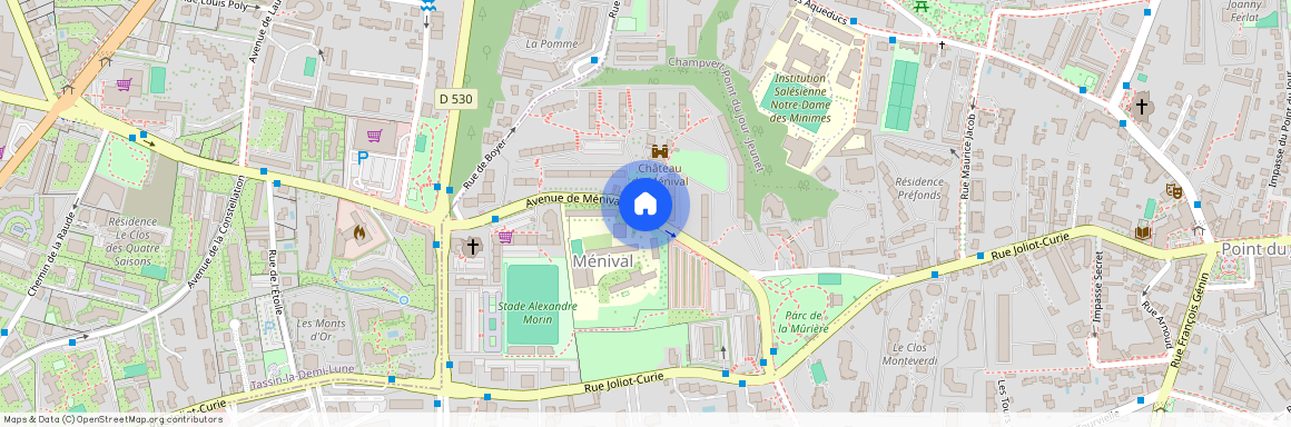 Avenue de Ménival, Francja, Lyon