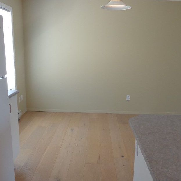 5515A Rutherford Road – Lower - Photo 1