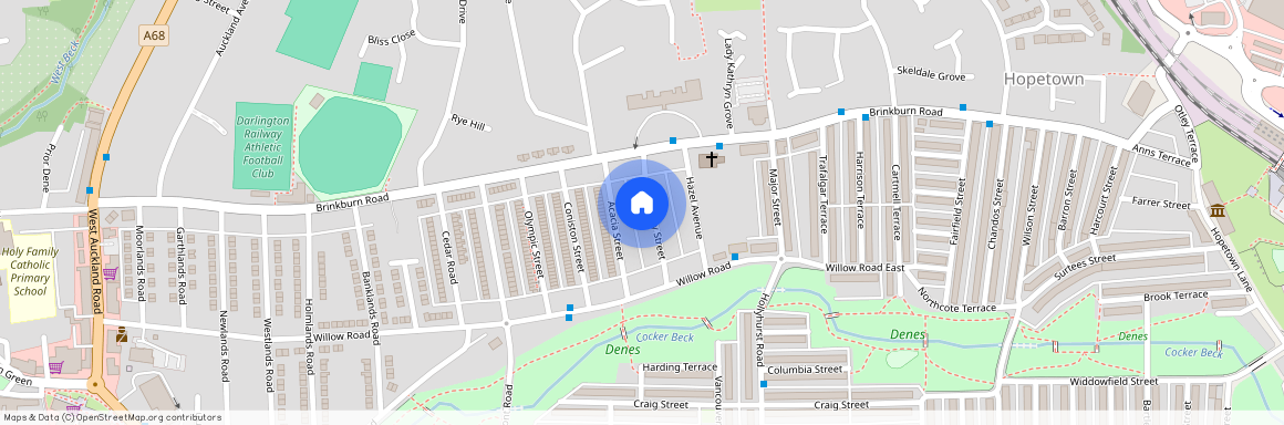 Hamsterley Street, Darlington