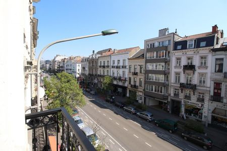 PML – Lemonnier 115.03 - Photo 5