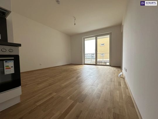 GROSSARTIG! Lichtdurchflutete 2-Zimmer-Neubauwohnung mit Südwestausrichtung, großzügigem Balkon, exklusiver Tischlerküche und Tiefgaragenplatz! - Photo 1