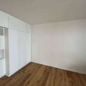 Neu renovierte Einzimmerwohnung mit Loggia in unmittelbarer Nähe zur Burggasse - Foto 1