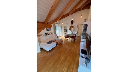 2 Zimmer-Wohnung in Eglisau (ZH), möbliert, auf Zeit - Photo 4