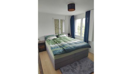 2½ Zimmer-Wohnung in Dübendorf (ZH), möbliert, auf Zeit - Photo 5