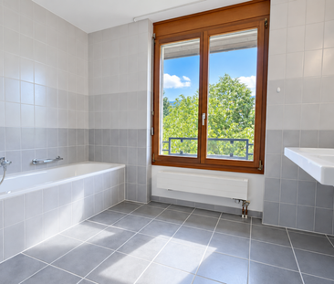 Grosse Sanierte 5.0 Wohnung mit grossen Spielplatz - Foto 6
