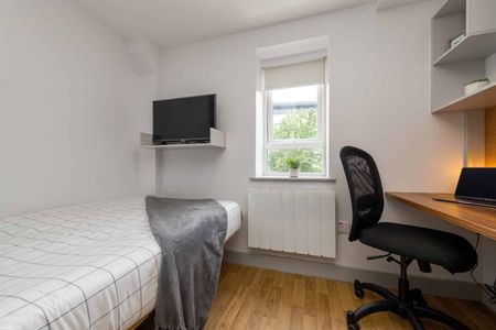 Standard Studio - Photo 3