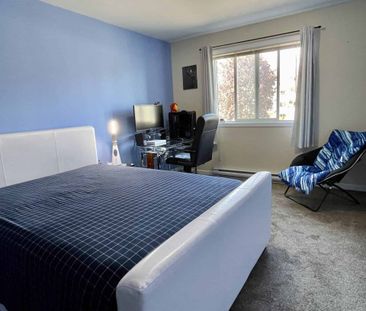 Colorful Condo on KLO - Photo 6