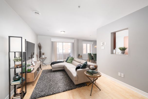 14389 Rue Jolicoeur, Montréal - Photo 1