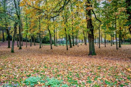 van der Helstpark 57, Muiderberg, 1399GJ - Photo 3