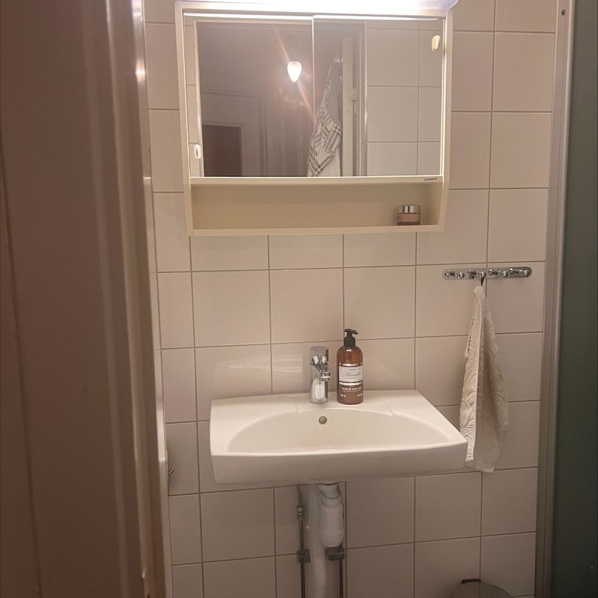 Snapperupsgatan 2B - Photo 1