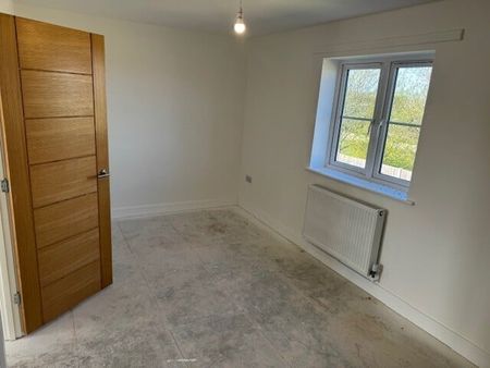 Delamore Drive - Photo 2