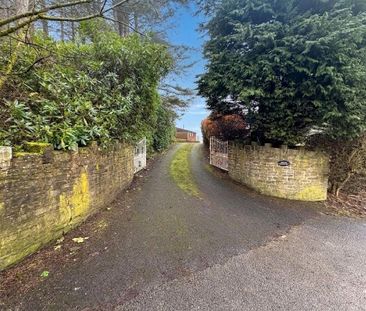 2 bedroom detached house to rent - Photo 4