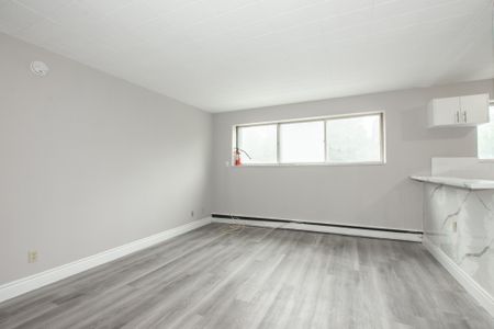 *UPDATED* 1 BEDROOM APARTMENT IN ST. CATHARINES!! - Photo 2