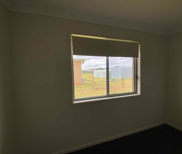 Relaxed country living close to town - Photo 4