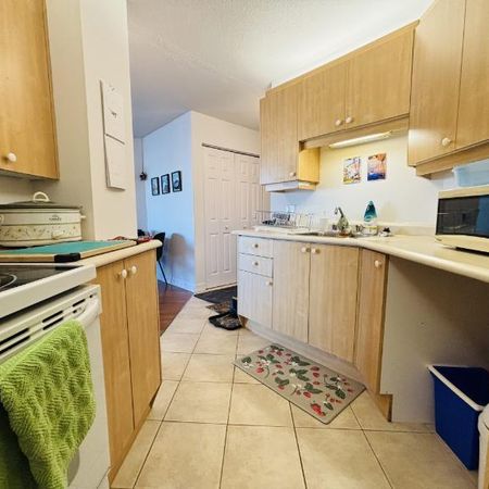 Appartement 3 ½ à louer Saint-Jean-Baptiste juillet 2026 - Photo 3