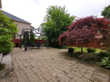 For Lease - 48 Barberry Crescent, Richmond Hill, Ontario - Photo 3