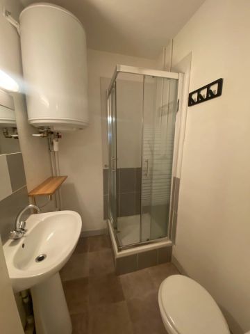 Location Appartement 2 pièces 26m² GRENOBLE 38000 - Photo 3