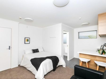 Convenient Studio Living on Beatty Street - Photo 3