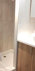 Location Appartement 1 pièce 18m² BLOIS 41000 - Photo 4