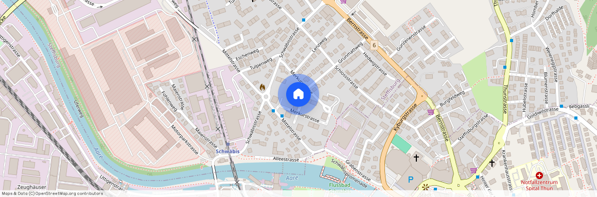 Merkurstr, 6, 3613 Steffisburg