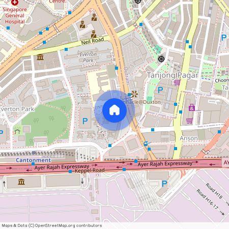 13 Cantonment Close (080013), Singapore
