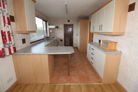 50 Ballyduff Road, BT366PB - Photo 5