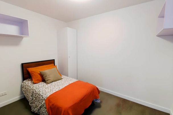 Large 1 Bedroom with balcony style 1 - Photo 1