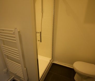 Appartement 2 pièces à Lille - Photo 5