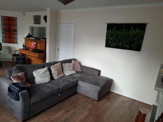3 bedroom house share to rent - Photo 1