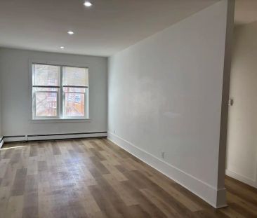Belmont Apartments — 1 Bedroom - Photo 1