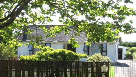 71 Seabrook Ave, New Lynn - Photo 5