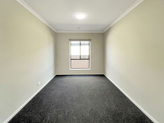 100 Crown Street, Sebastopol - Photo 1