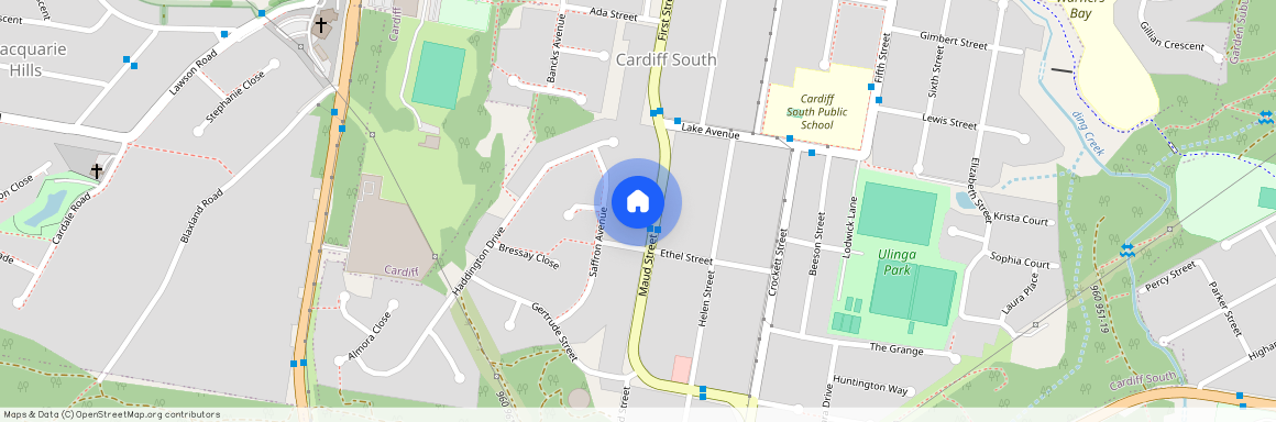 19 Maud Street, NSW 2285, Cardiff South