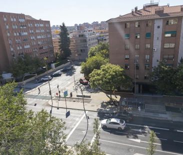 Calle de Cavanilles, Madrid, Community of Madrid 28007 - Photo 6