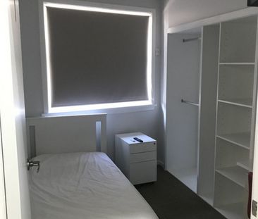 78 Queen Street, Concord West NSW 2138 - House For Rent | Domain - Photo 4