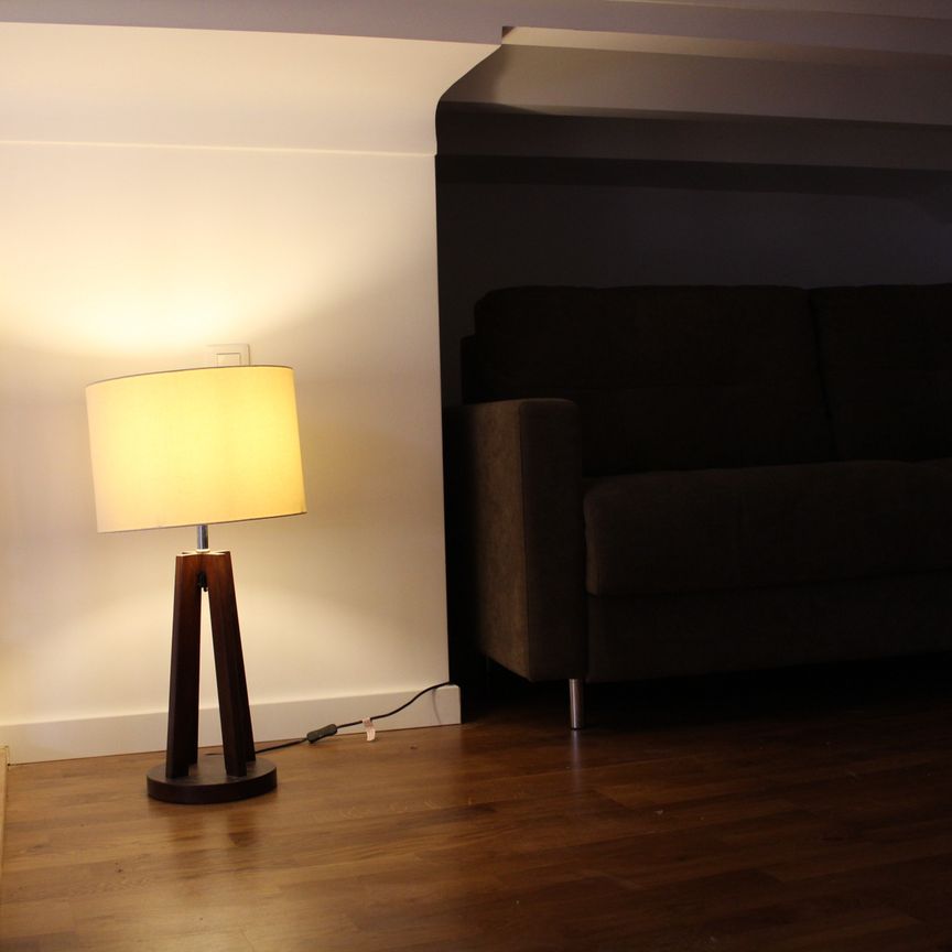 53 Rue de France - DISPONIBLE LE 1ER SEPTEMBRE 2026 - Photo 1