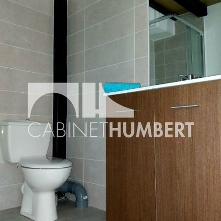 STUDIO A LOUER - Photo 3