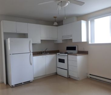 Le 3404 Blondin, St-Hyacinthe - Photo 2